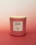 Fulgor Vivo · Solstício de Verão · A expansão Consciente · Vela Aromática 100% Vegetal e Artesanal 262ml