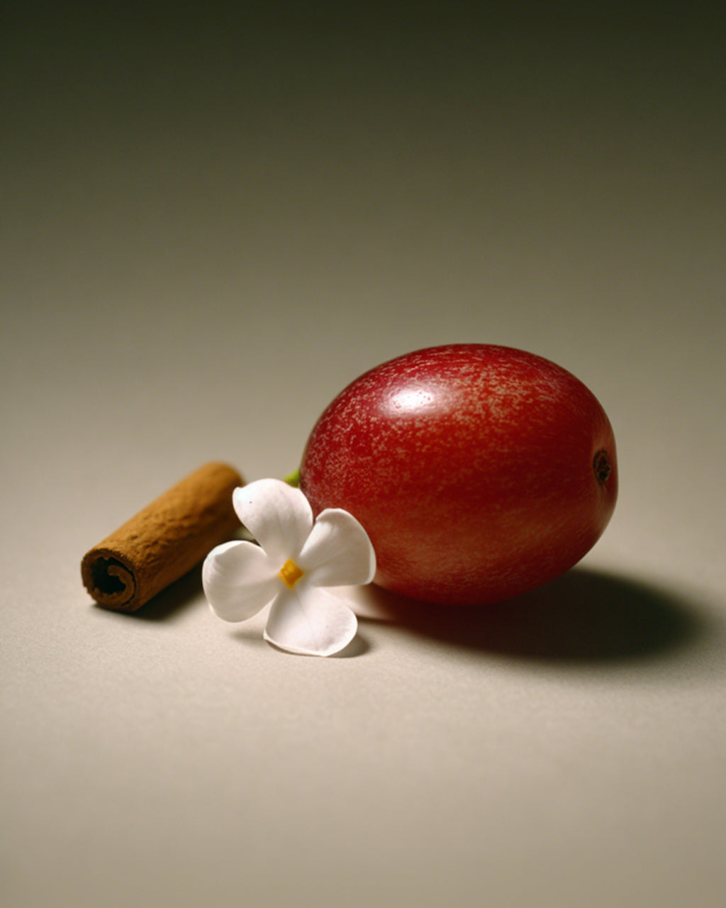 Vela Aromática 100% Vegetal e Artesanal Desiderio Infinito (Vela EROS) 262ml