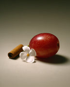 Vela Aromática 100% Vegetal e Artesanal Desiderio Infinito (Vela EROS) 262ml