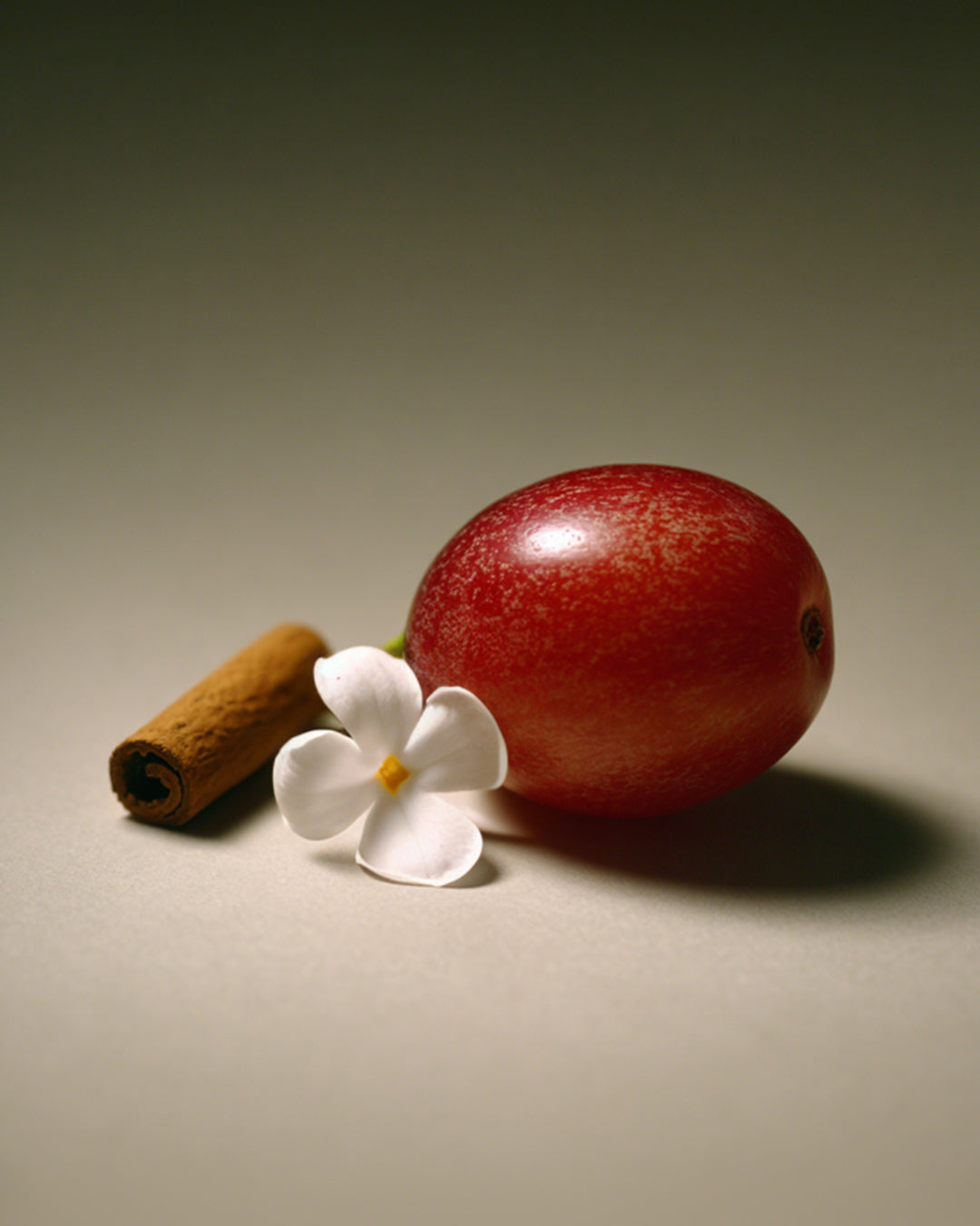 Vela Aromática 100% Vegetal e Artesanal Desiderio Infinito (Vela EROS) 262ml