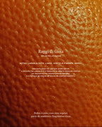 Vela Aromática 100% Vegetal e Artesanal Raggi di Gioia (Felicidade) 262ml