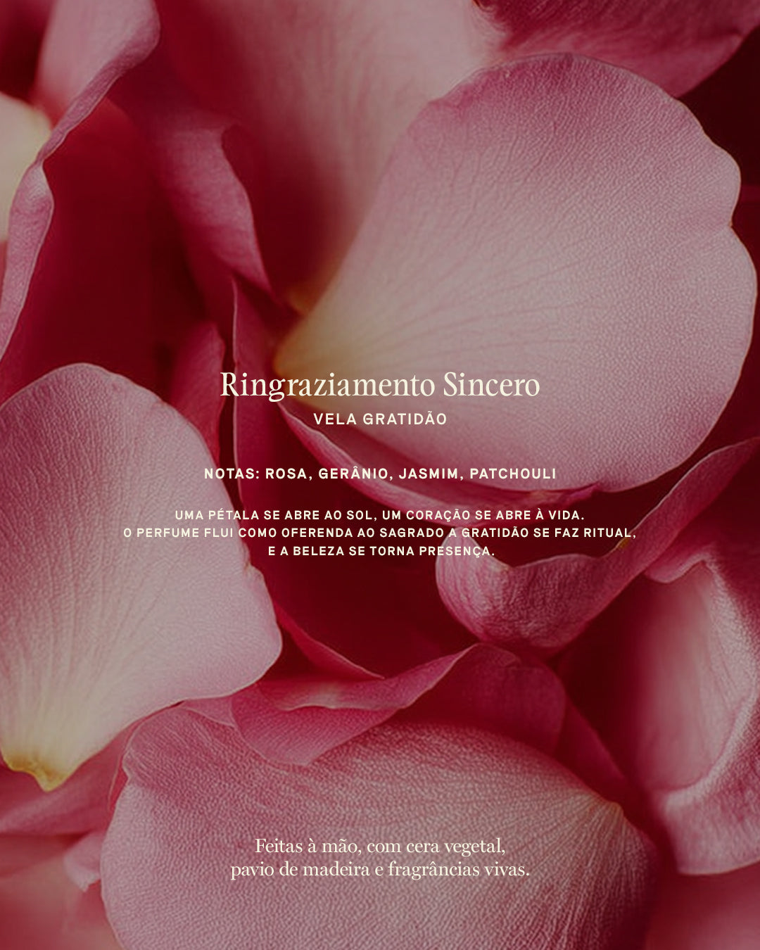 Vela Aromática 100% Vegetal e Artesanal Ringraziamento Sincero (Gratidão) 262ml