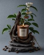 Ação Enraizada · Manifestação · Vela Aromática Vegetal Artesanal 262 ml