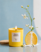 Clareza Solar · Visão · Vela Aromática Vegetal Artesanal 262 ml