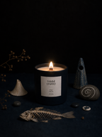Fogo Silente · Solstício de Inverno · Gestação Invisível ·  Vela Aromática 100% Vegetal e Artesanal 262ml