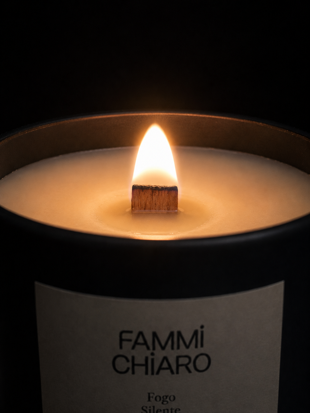 Fogo Silente · Solstício de Inverno · Gestação Invisível ·  Vela Aromática 100% Vegetal e Artesanal 262ml
