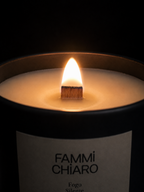Fogo Silente · Solstício de Inverno · Gestação Invisível ·  Vela Aromática 100% Vegetal e Artesanal 262ml