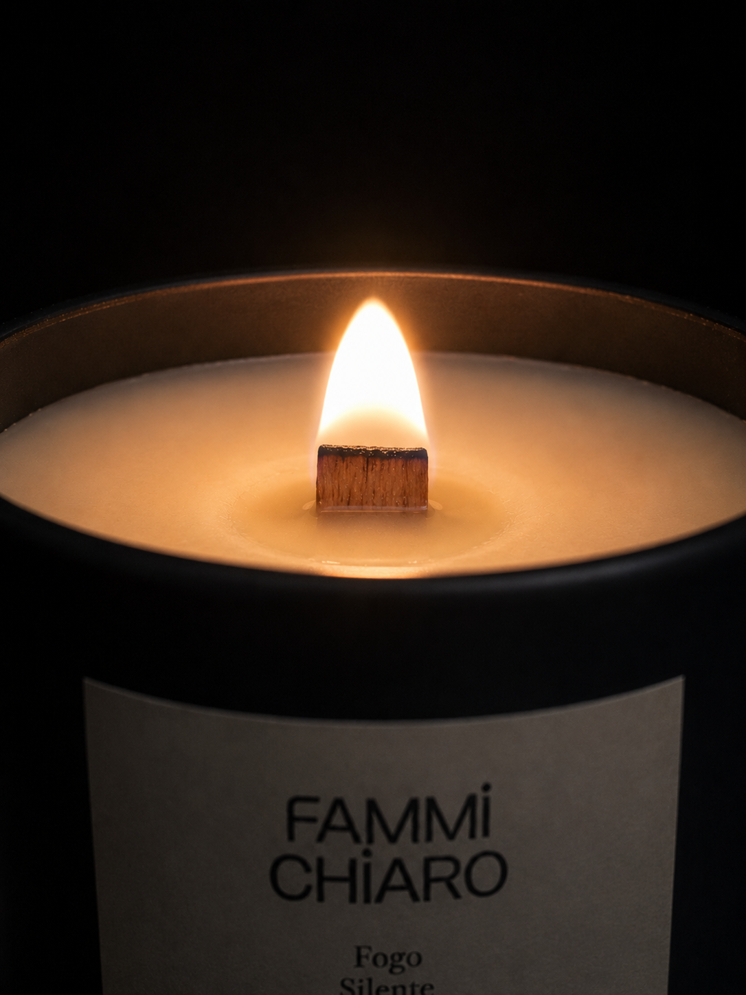 Fogo Silente · Solstício de Inverno · Gestação Invisível ·  Vela Aromática 100% Vegetal e Artesanal 262ml