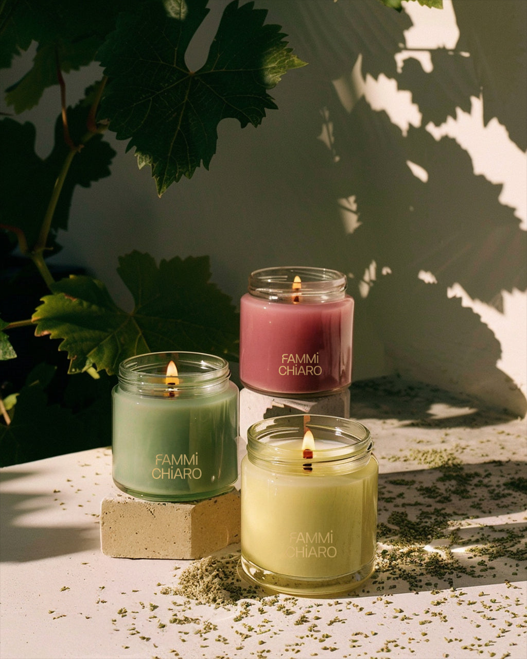 Fruto da Terra (Vela de Uva) Aromática 100% Vegetal e Artesanal · 100ml