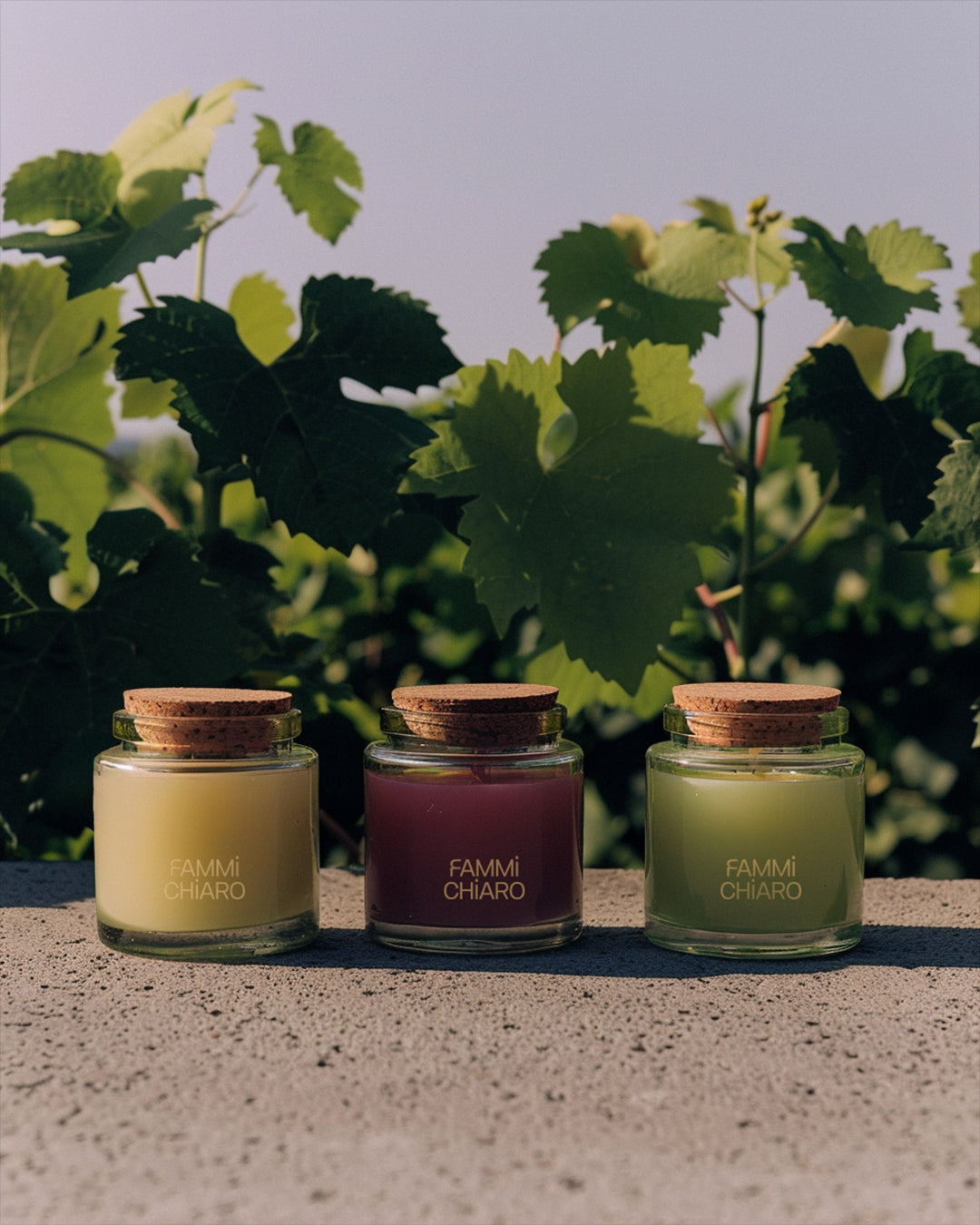 Coleção da Serra (Kit com 3 Velas Artesanais) Aromática 100% Vegetal e Artesanal