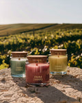 Coleção da Serra · Kit com 3 Velas Aromáticas 100% Vegetais e Artesanais
