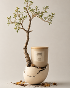 Retorno ao Centro · Integração · Vela Aromática Vegetal Artesanal 262 ml