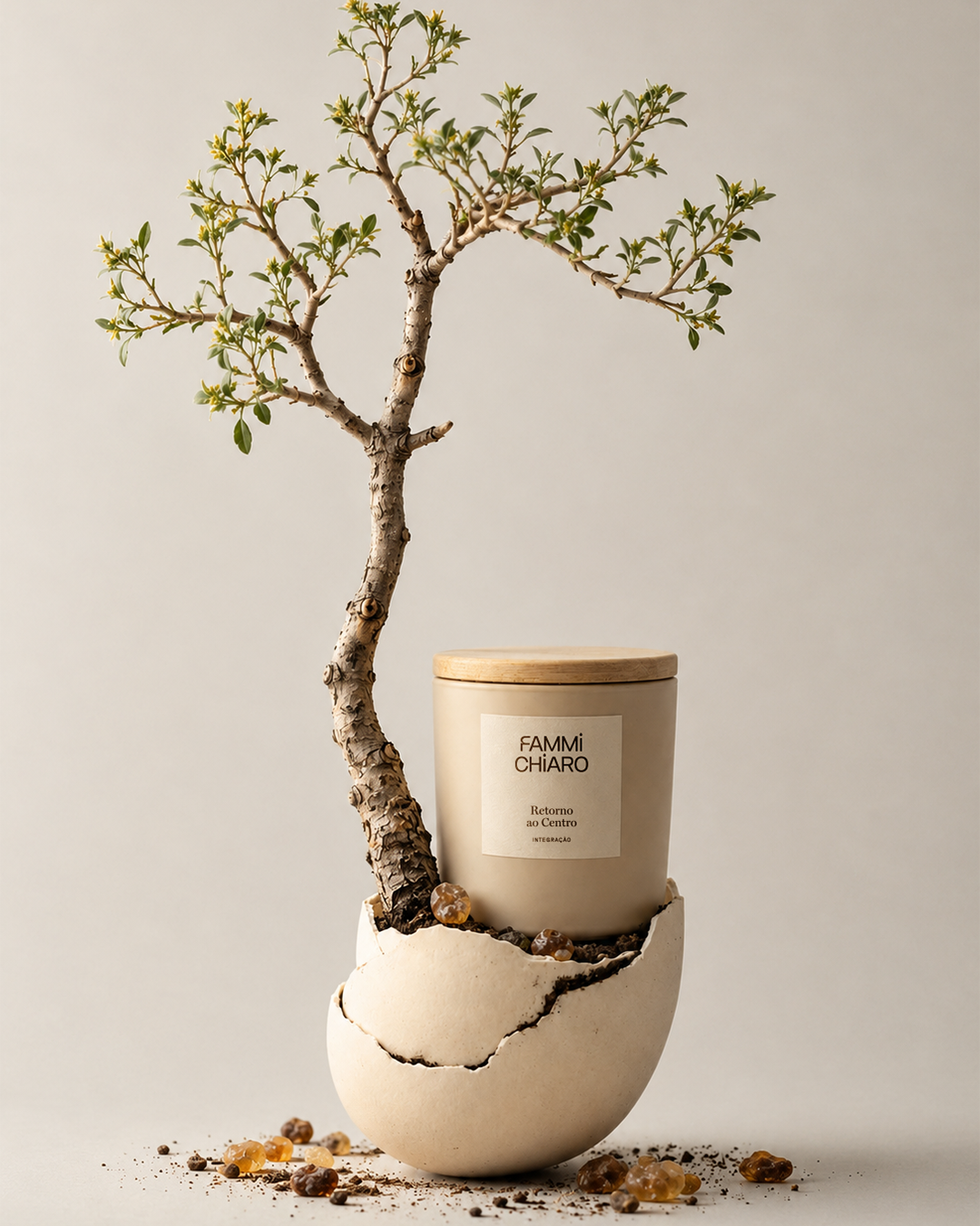 Retorno ao Centro · Integração · Vela Aromática Vegetal Artesanal 262 ml