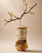 Retorno ao Centro · Integração · Vela Aromática Vegetal Artesanal 262 ml