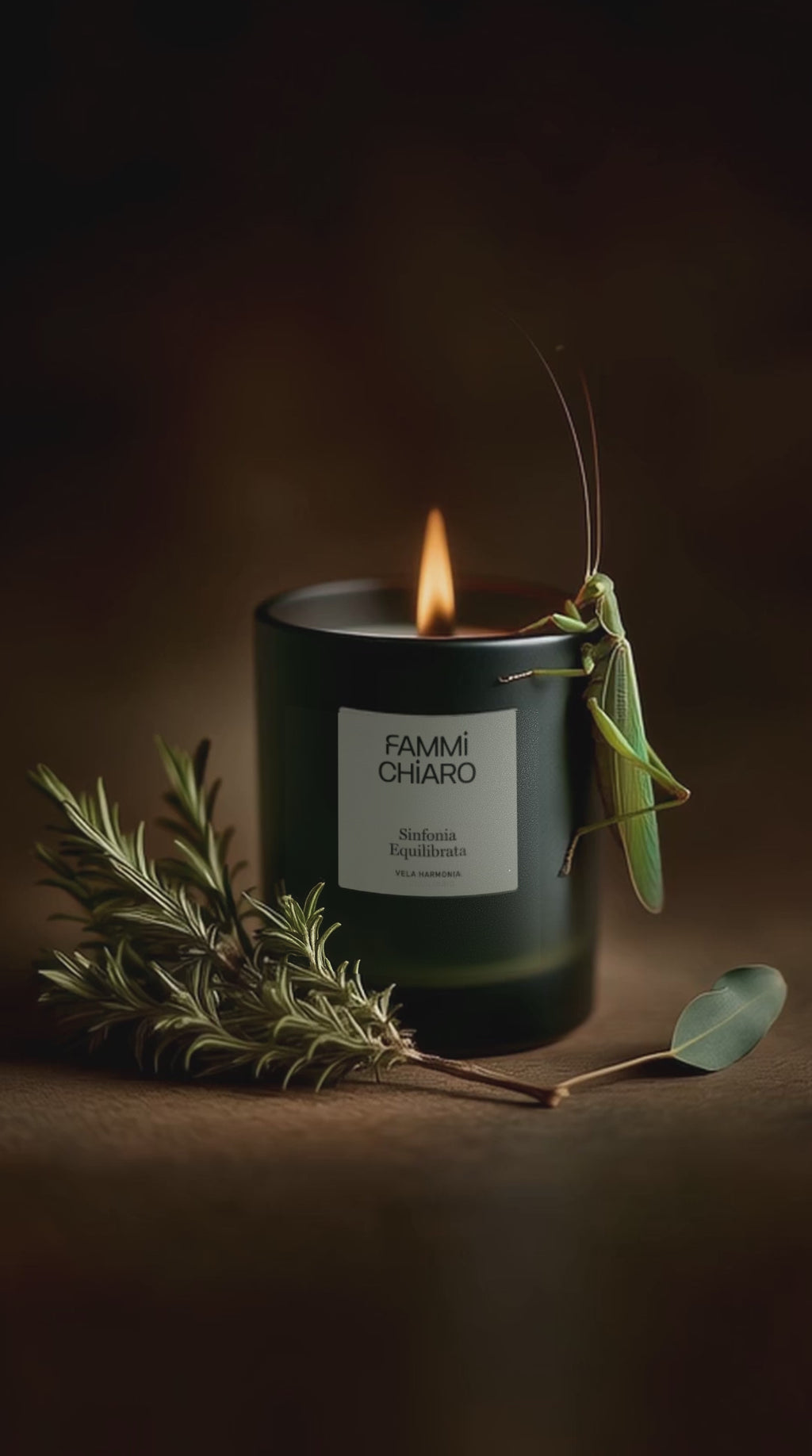 Vela Aromática 100% Vegetal e Artesanal Sinfonia Equilibrata (Harmonia) 262ml