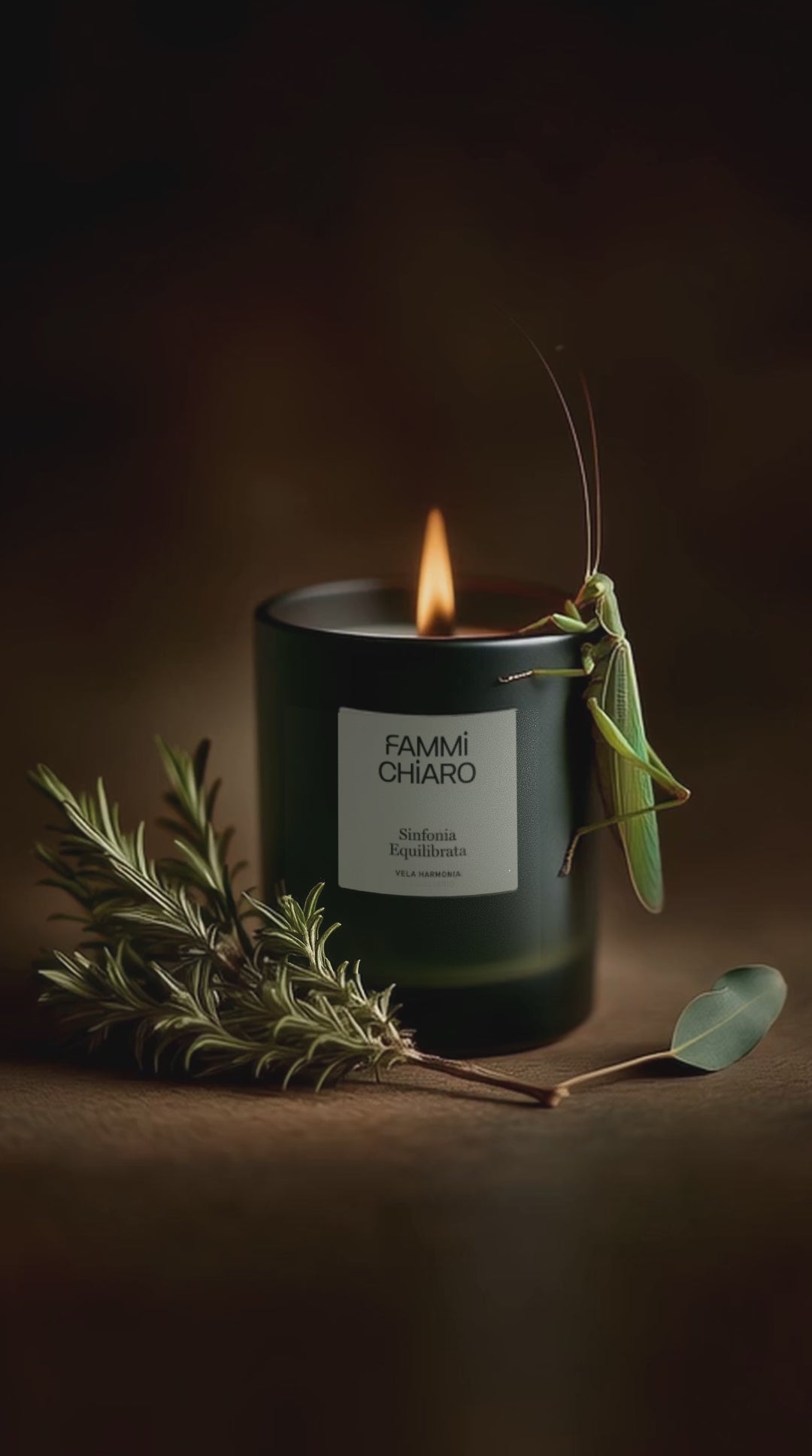 Vela Aromática 100% Vegetal e Artesanal Sinfonia Equilibrata (Harmonia) 262ml